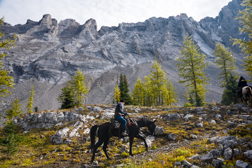 Image Canada : Randonnée à cheval dans le Parc de Banff