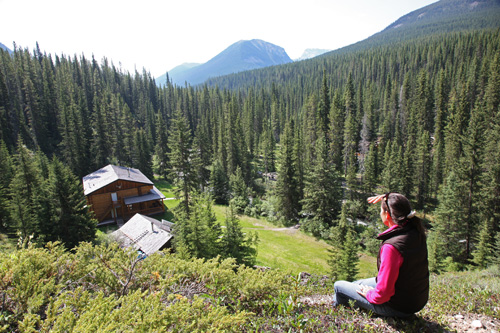 Image Canada : Randonnée à cheval dans le Parc de Banff
