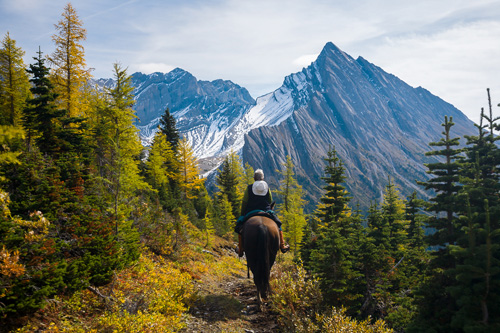 Image Canada : Randonnée à cheval dans le Parc de Banff