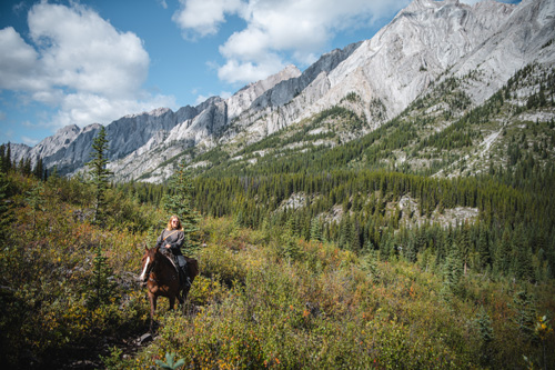 Image Canada : Randonnée à cheval dans le Parc de Banff