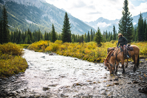 Image Canada : Randonnée à cheval dans le Parc de Banff