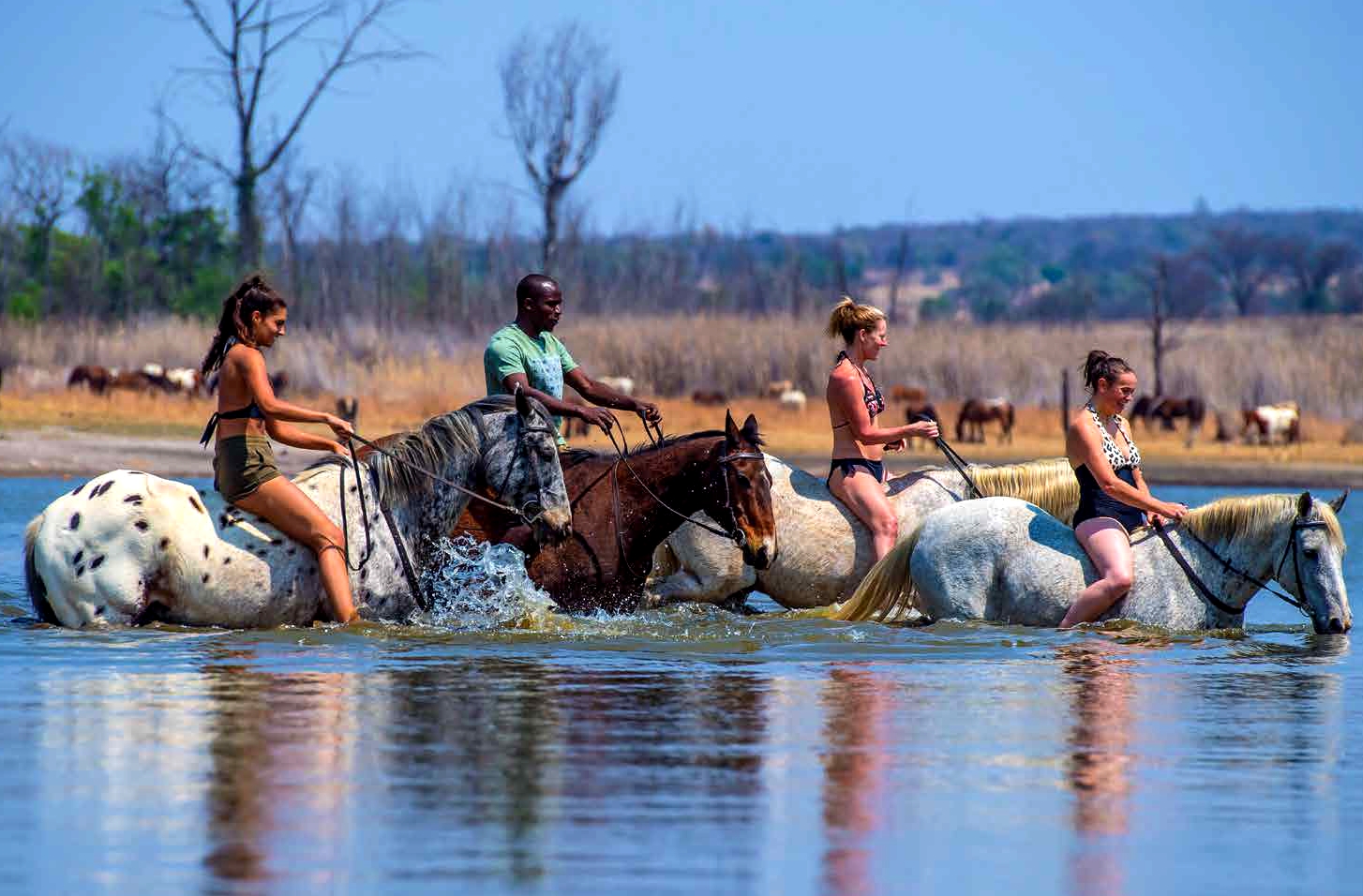 Image Afrique du Sud : Safari "Découverte" à cheval