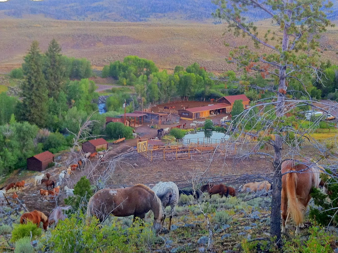 Image Usa : Séjour en ranch et randonnées à cheval dans le Wyoming