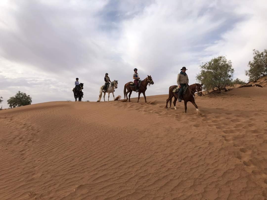Image Le Désert Marocain à cheval