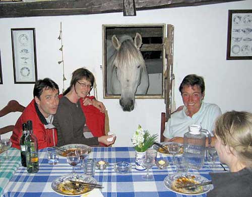 Image Rando à cheval dans les Acores "Atlantis" et "Ile Verte"
