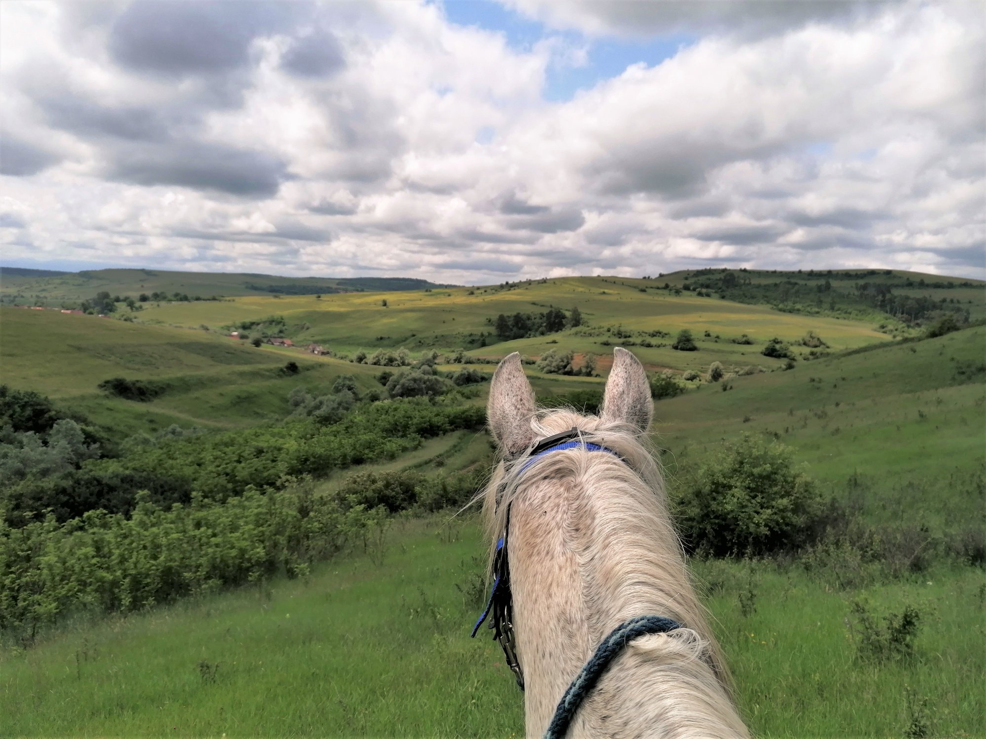 Image Roumanie : Voyage à cheval en Transylvanie