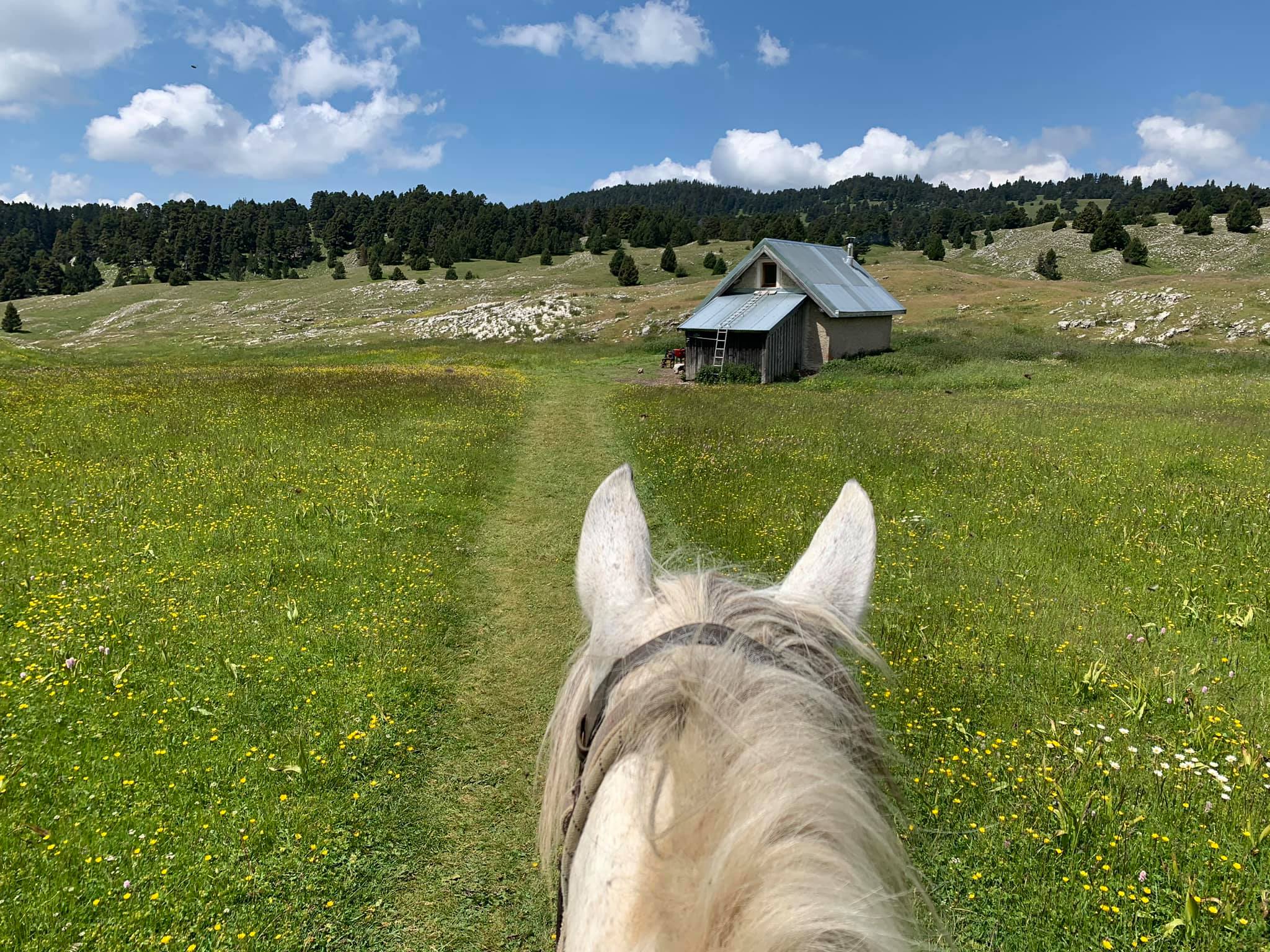 Image Rando à cheval dans le Vercors pour ados de 13 à 17 ans