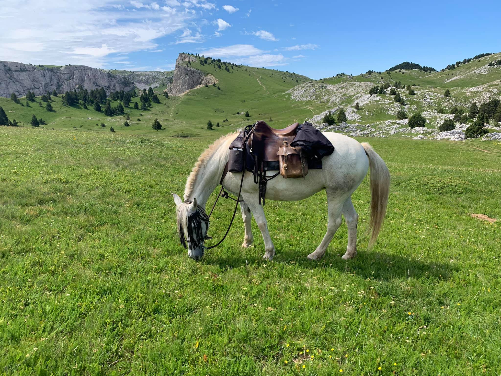 Image Rando à cheval dans le Vercors pour ados de 13 à 17 ans