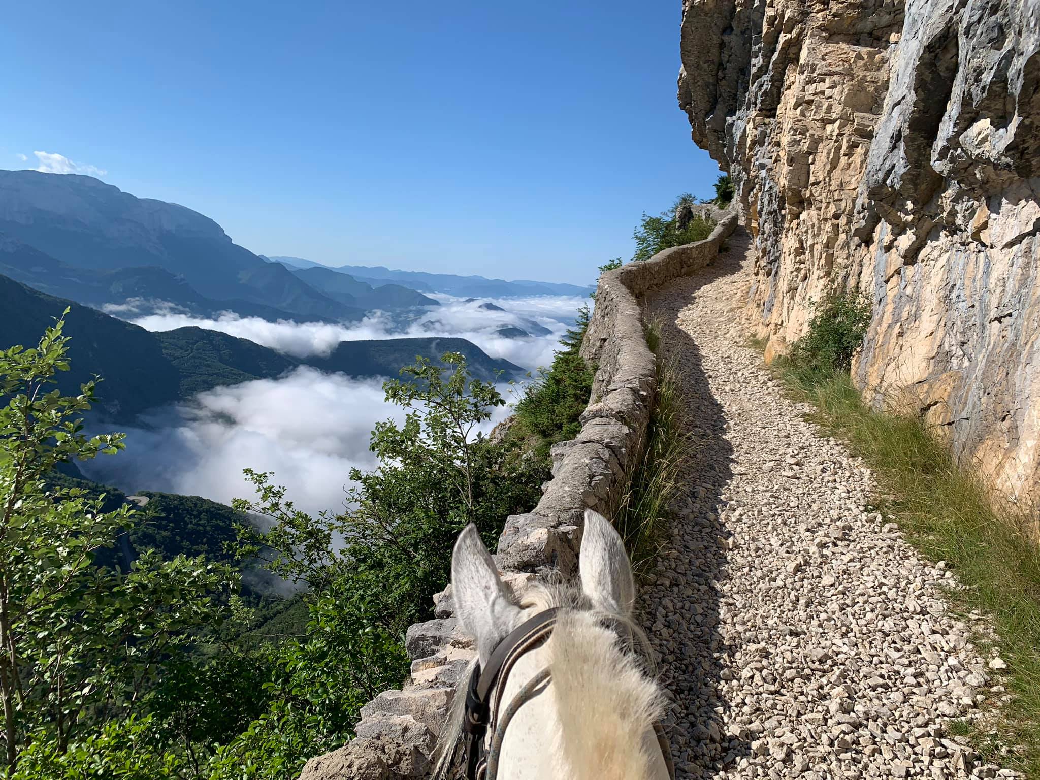Image Rando à cheval dans le Vercors pour ados de 13 à 17 ans