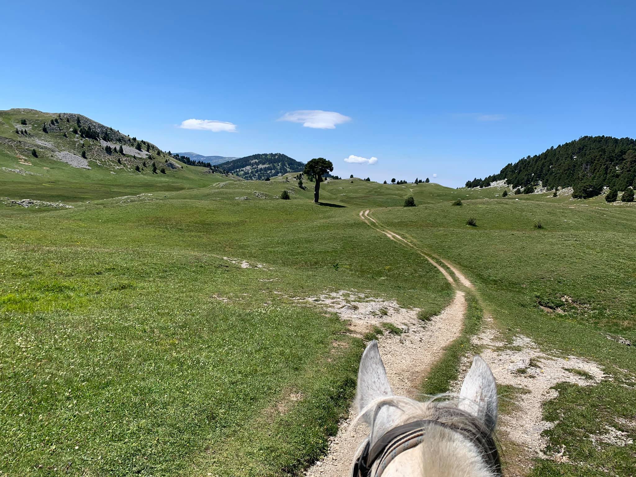 Image Rando à cheval dans le Vercors pour ados de 13 à 17 ans