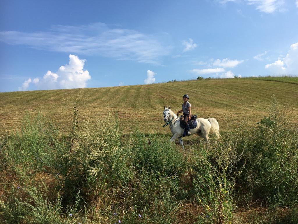 Image Roumanie : Voyage à cheval en Transylvanie