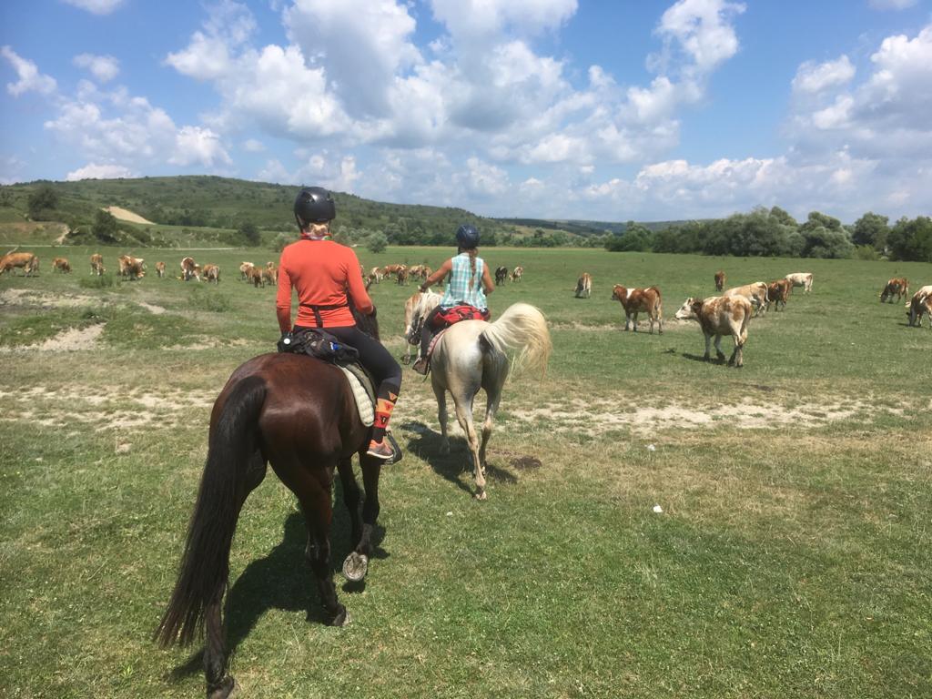Image Roumanie : Voyage à cheval en Transylvanie
