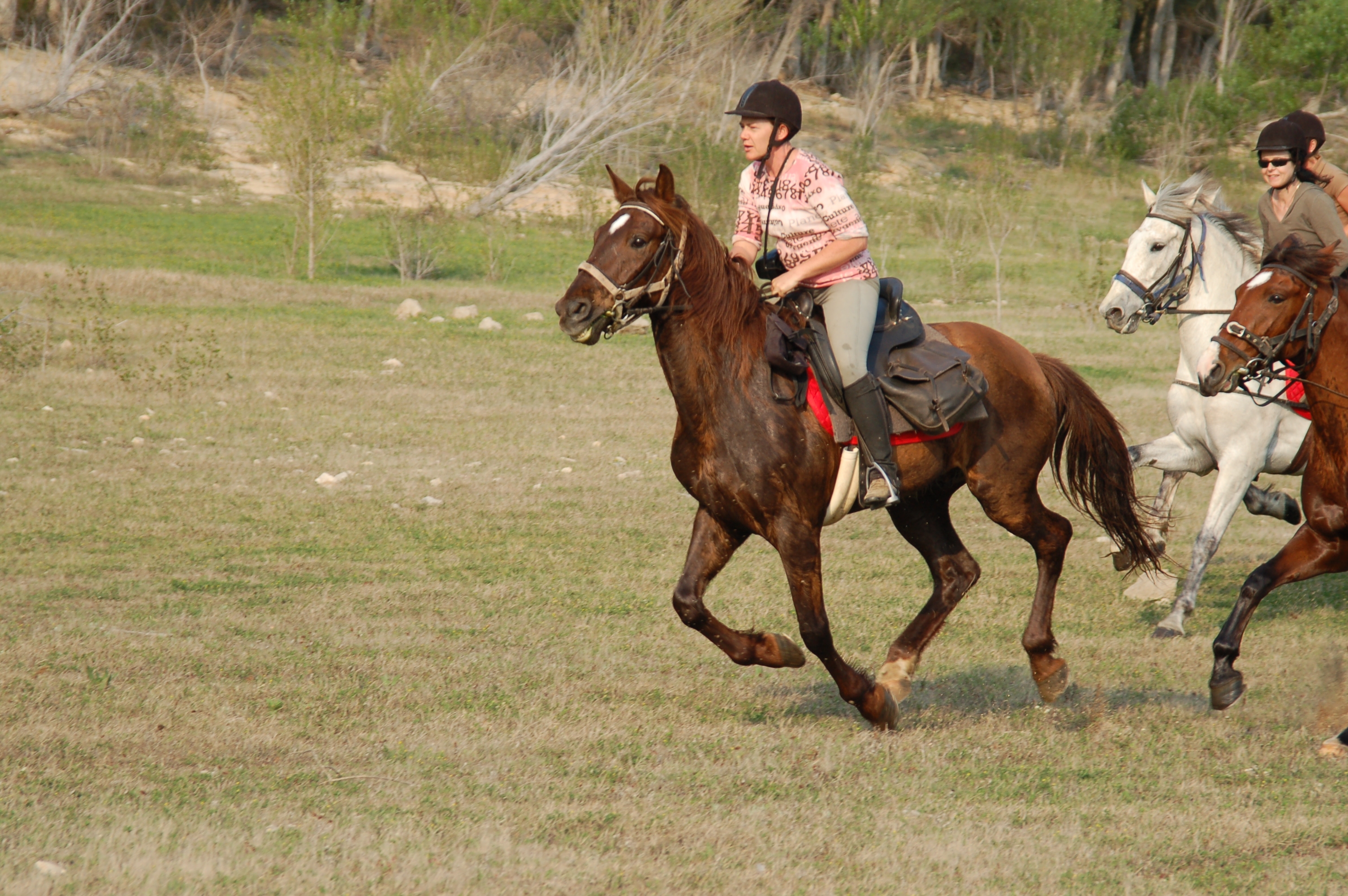Image Espagne : A cheval entre Pyrénées Catalanes et Costa Brava