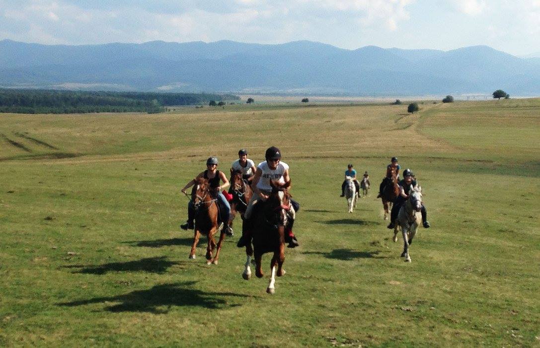 Image Roumanie : Voyage à cheval en Transylvanie