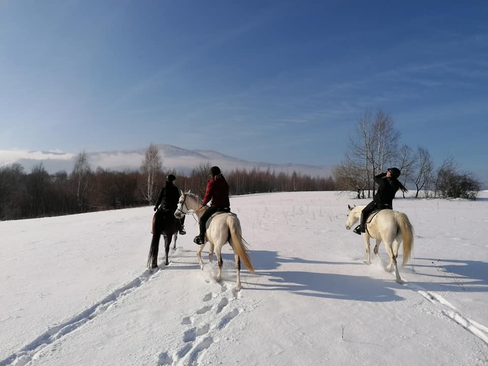 Image Roumanie : Randonnée hivernale dans les Carpates