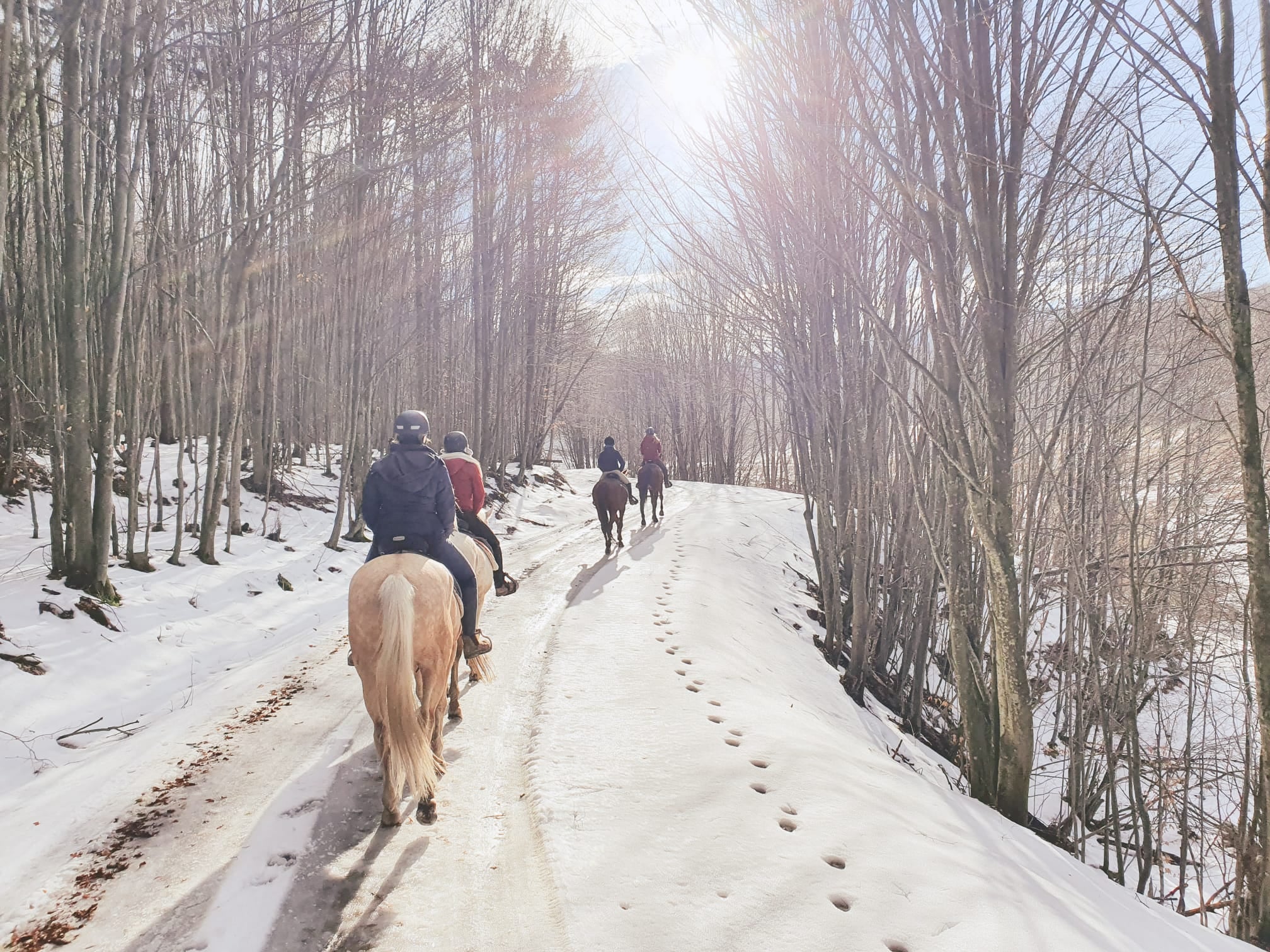 Image Roumanie : Randonnée hivernale dans les Carpates