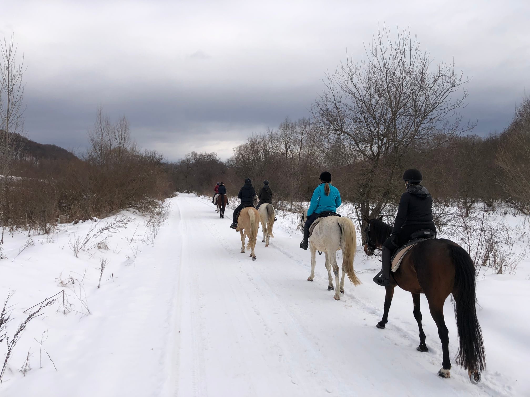 Image Roumanie : Randonnée hivernale dans les Carpates