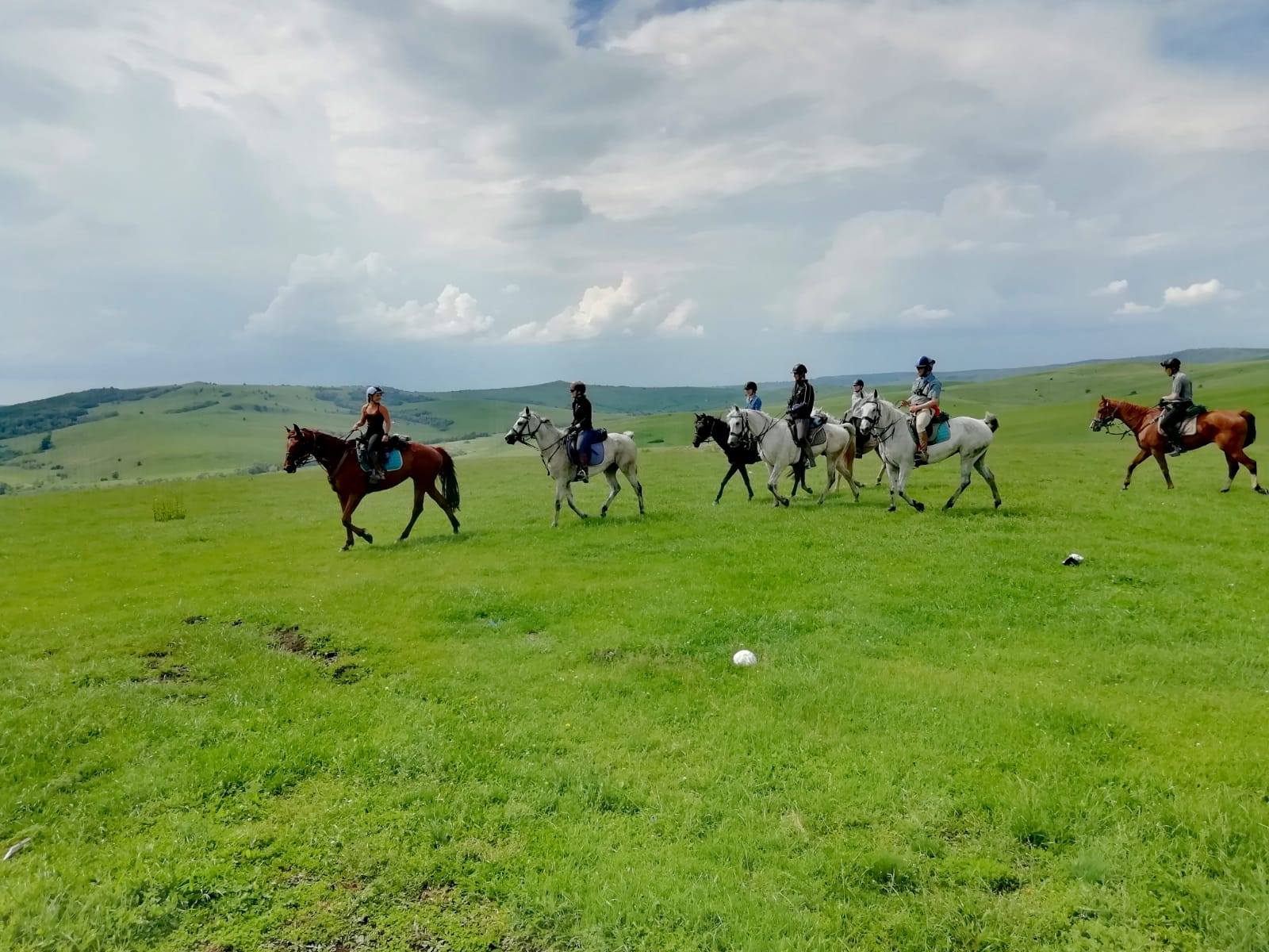Image Roumanie : Voyage à cheval en Transylvanie