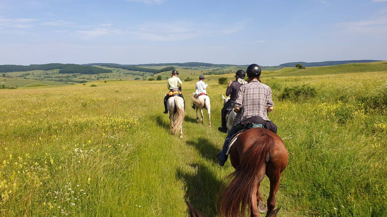 Image Roumanie : Voyage à cheval en Transylvanie