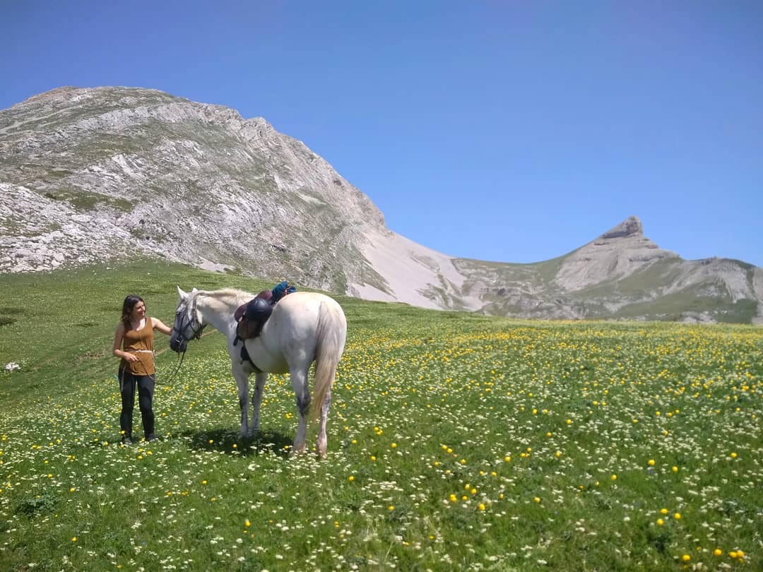 Image Rando à cheval dans le Vercors pour ados de 13 à 17 ans