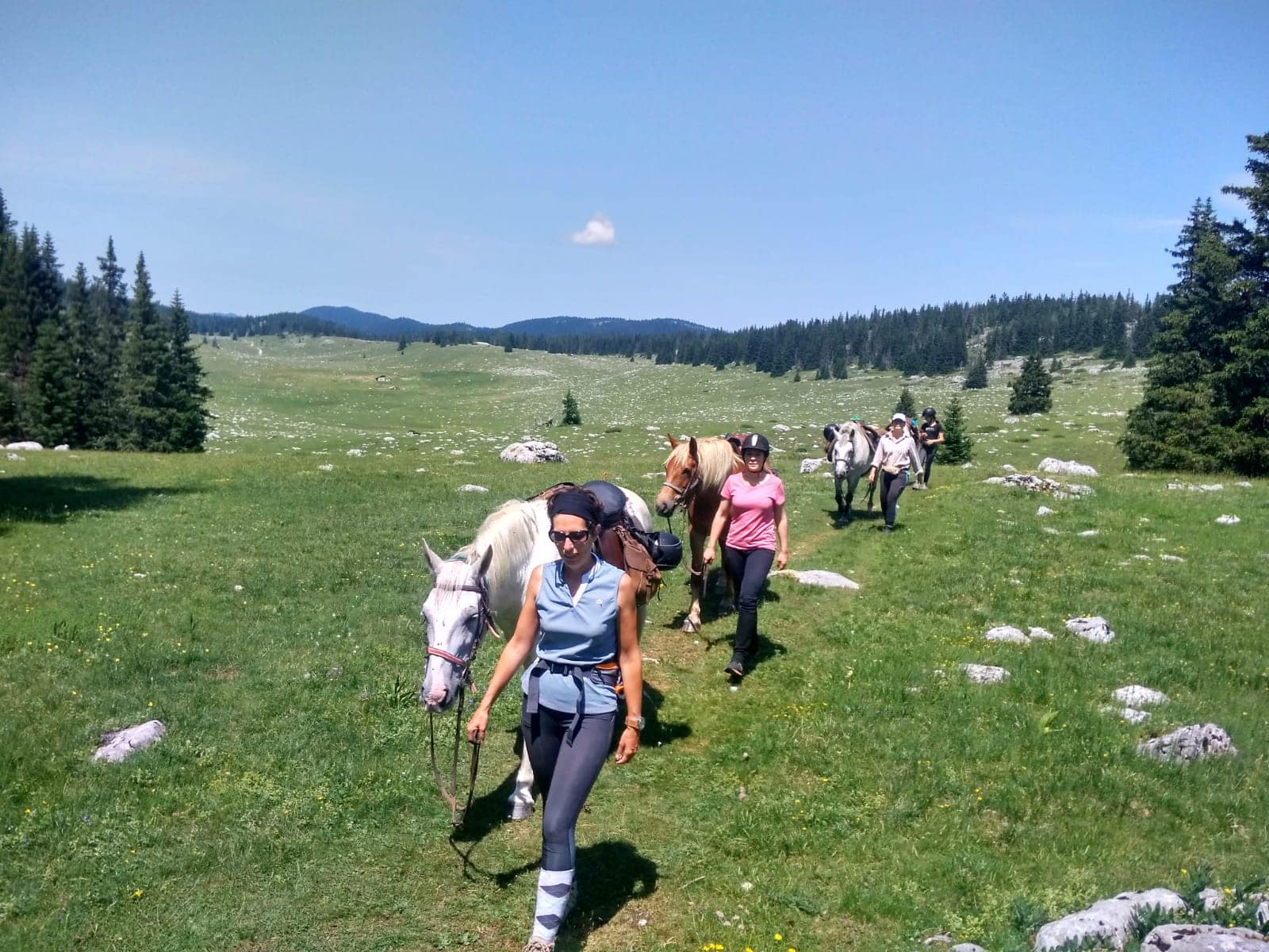 Image Echappée en  rando à cheval sur le plateau du Vercors