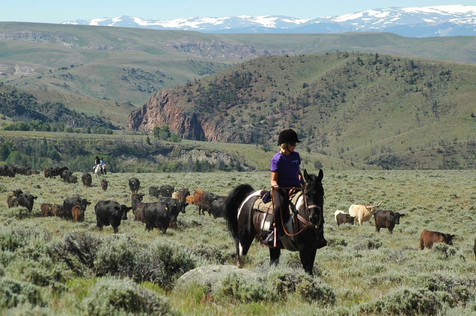 Image Usa : Séjour en ranch et randonnées à cheval dans le Wyoming