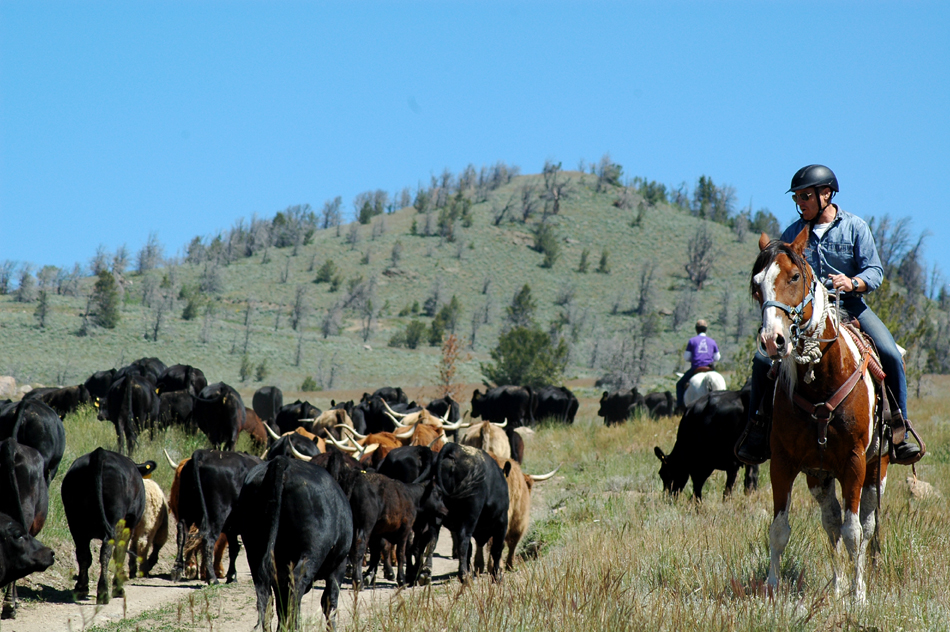 Image Usa : Séjour en ranch et randonnées à cheval dans le Wyoming