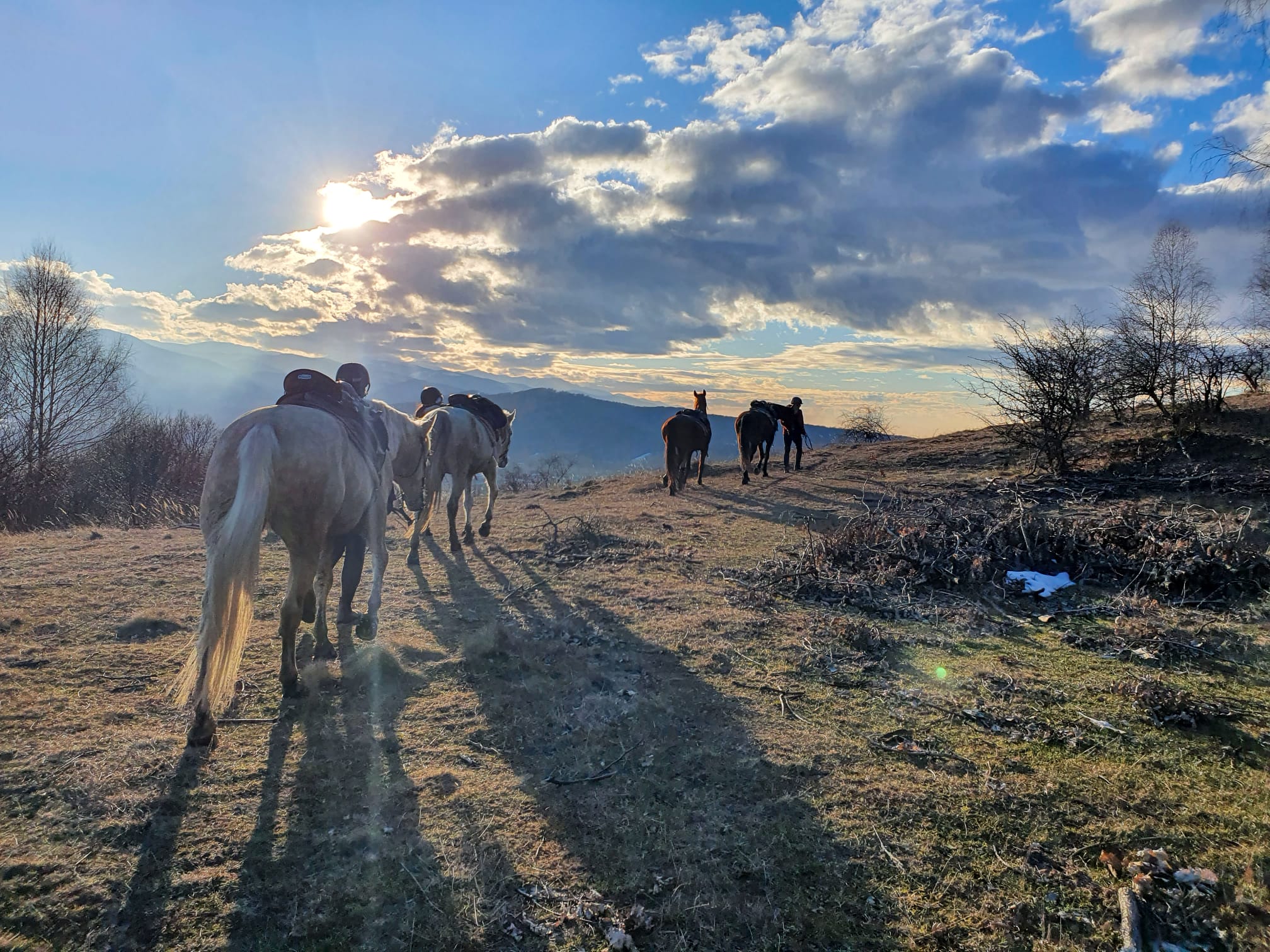 Image Roumanie : Voyage à cheval en Transylvanie