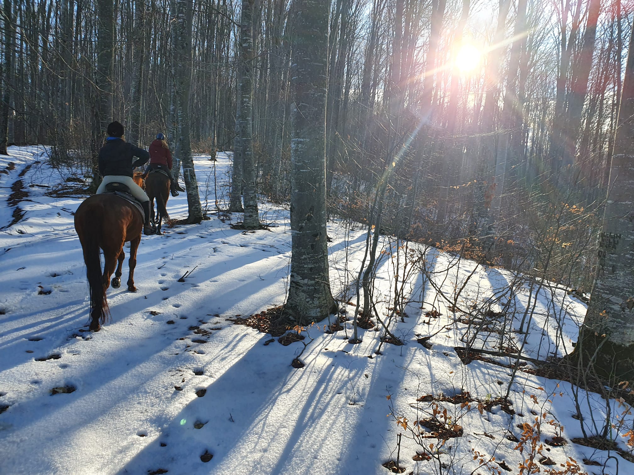 Image Roumanie : Randonnée hivernale dans les Carpates