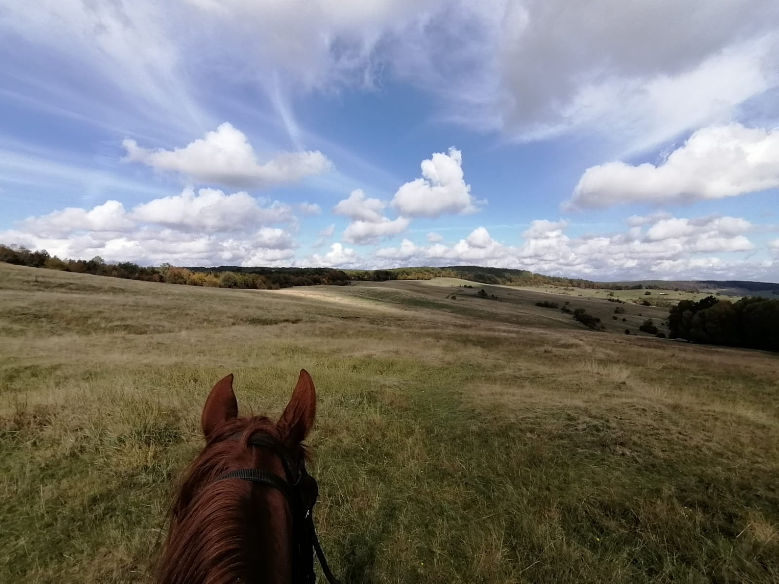 Image Roumanie : Voyage à cheval en Transylvanie