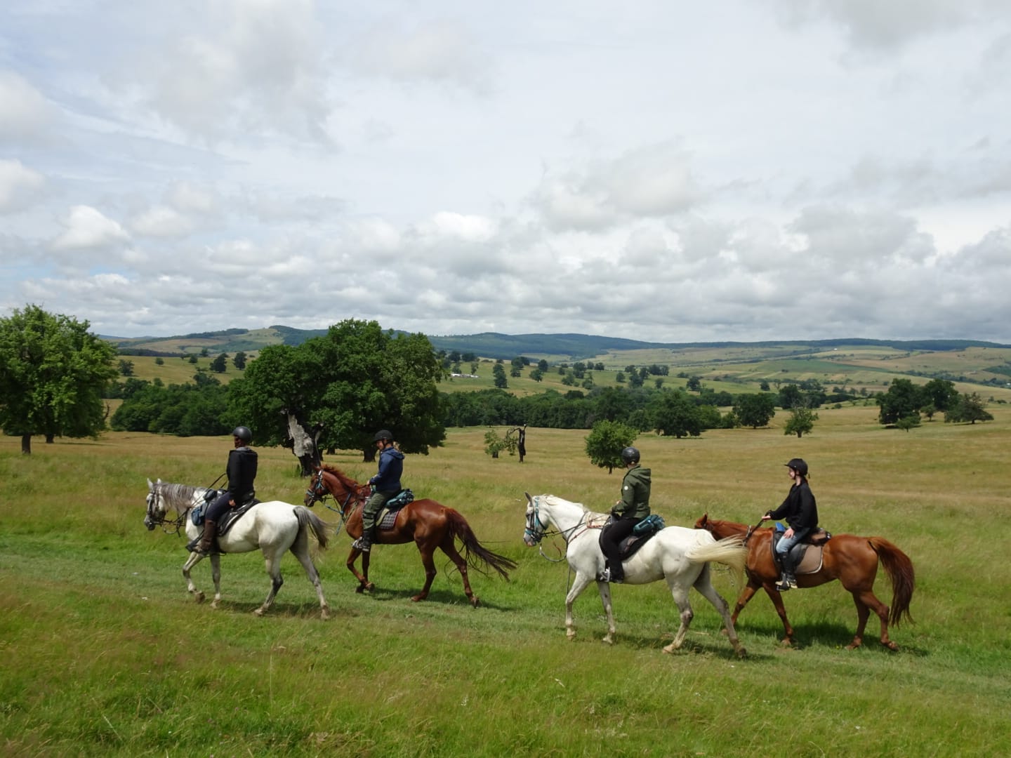 Image Roumanie : Voyage à cheval en Transylvanie