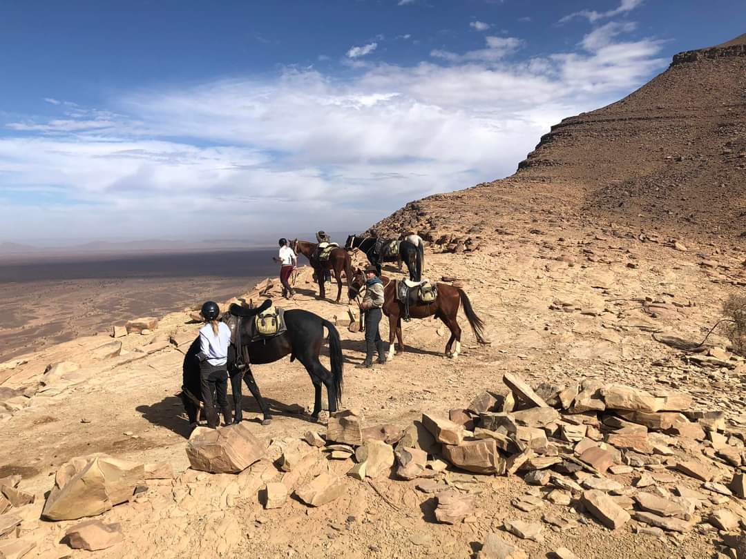 Image Le Désert Marocain à cheval