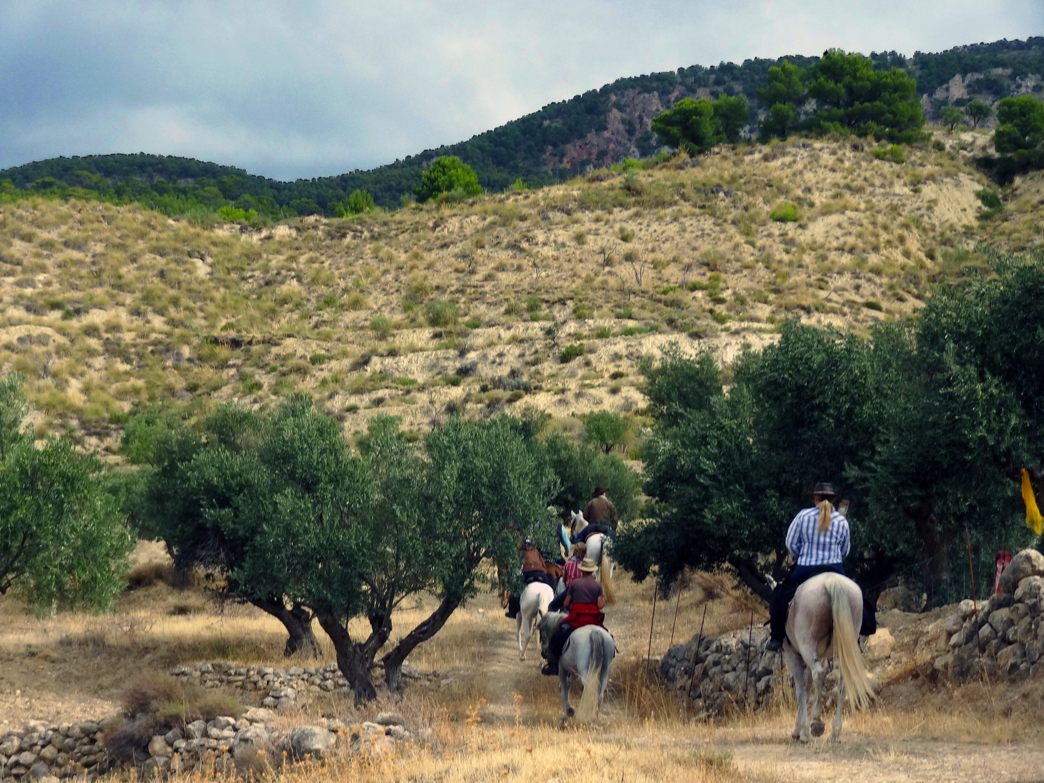Image Andalousie: Sierra de Andujar & Sierra Morena à cheval