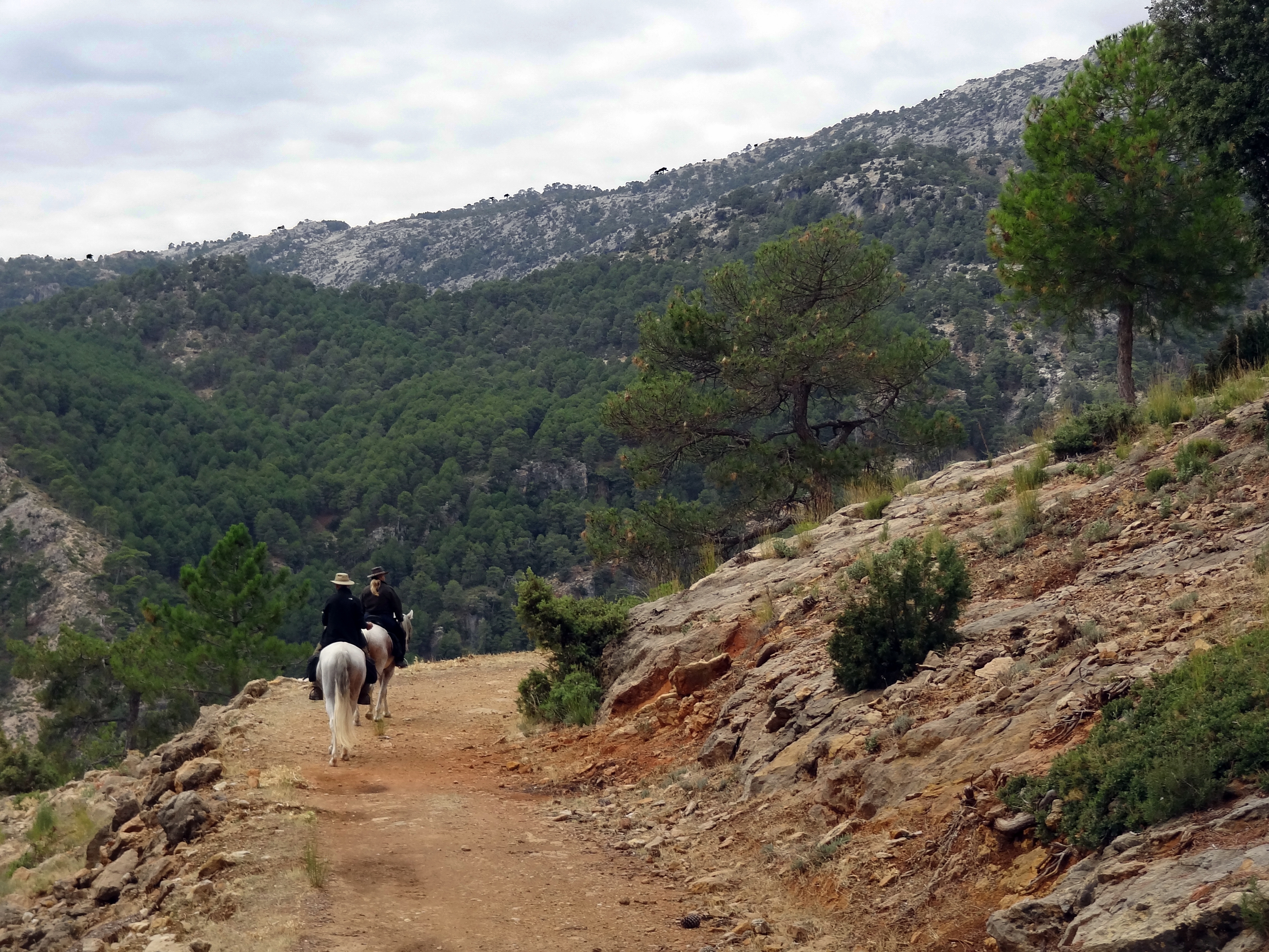 Image Andalousie: Sierra de Andujar & Sierra Morena à cheval