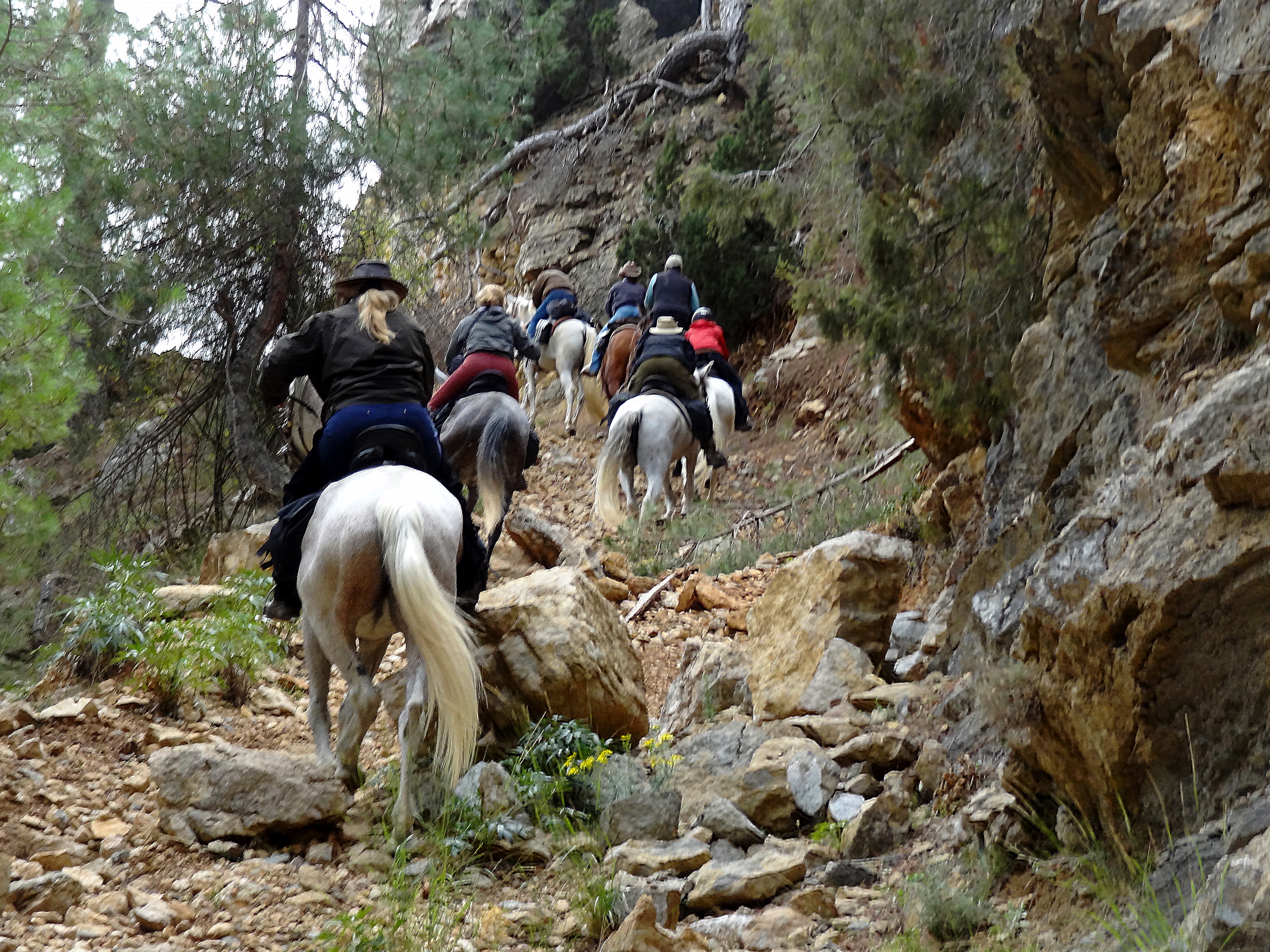 Image Andalousie: Sierra de Andujar & Sierra Morena à cheval