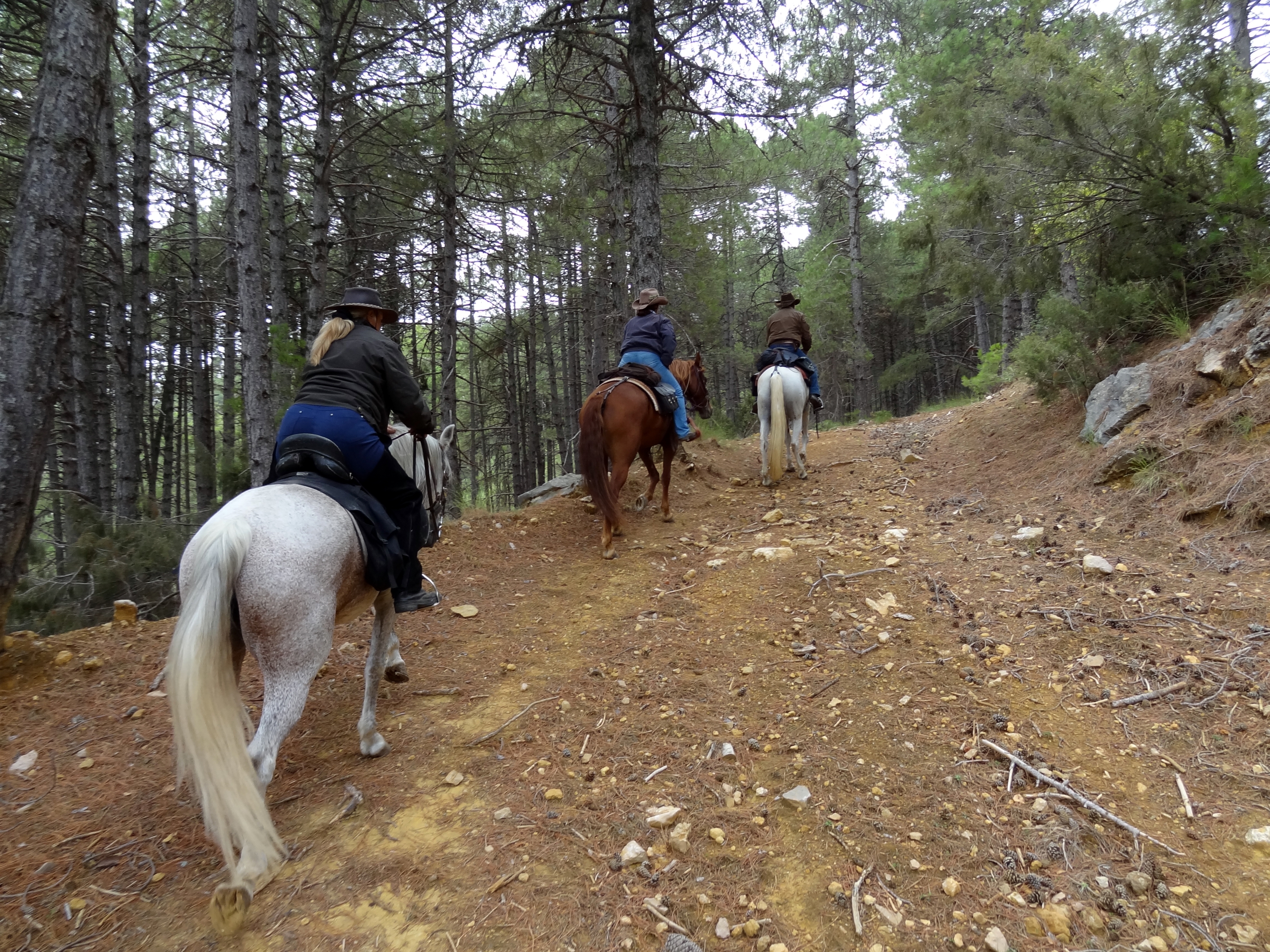 Image Andalousie: Sierra de Andujar & Sierra Morena à cheval