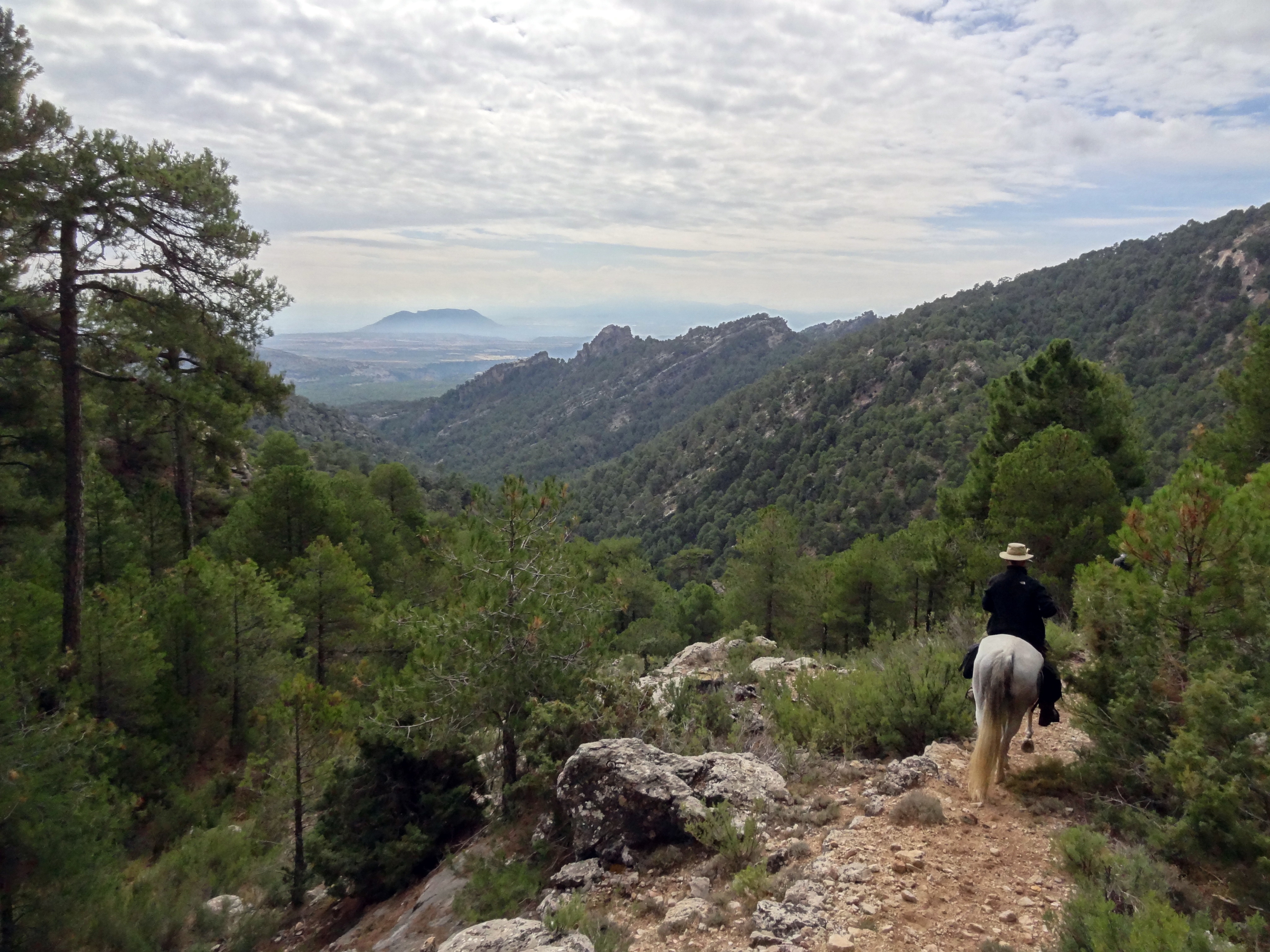 Image Andalousie: Sierra de Andujar & Sierra Morena à cheval