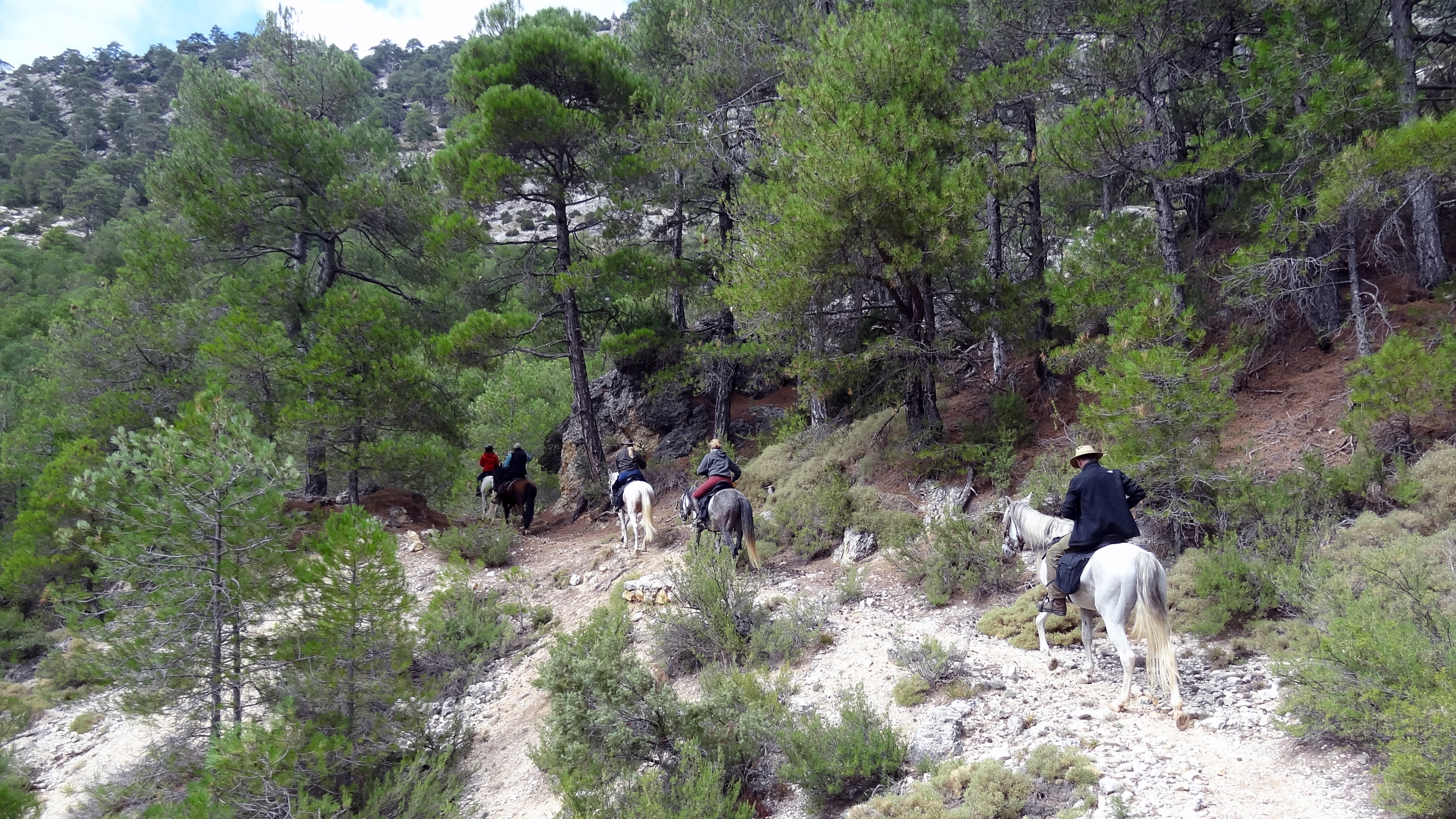 Image Andalousie: Sierra de Andujar & Sierra Morena à cheval
