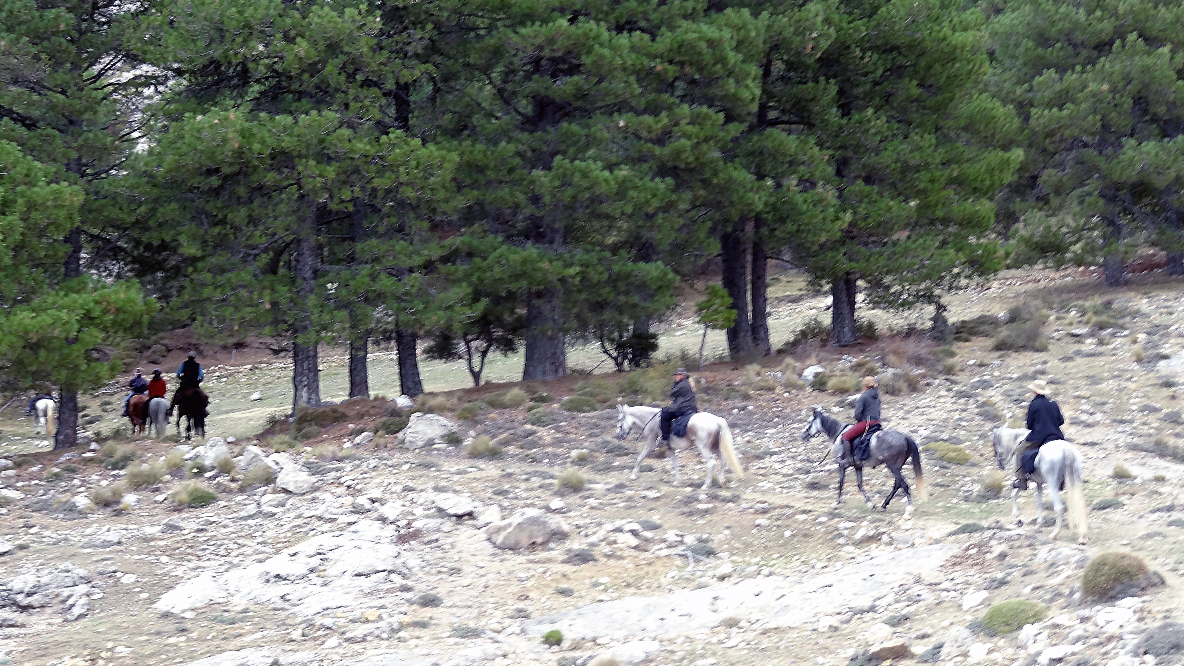 Image Andalousie: Sierra de Andujar & Sierra Morena à cheval