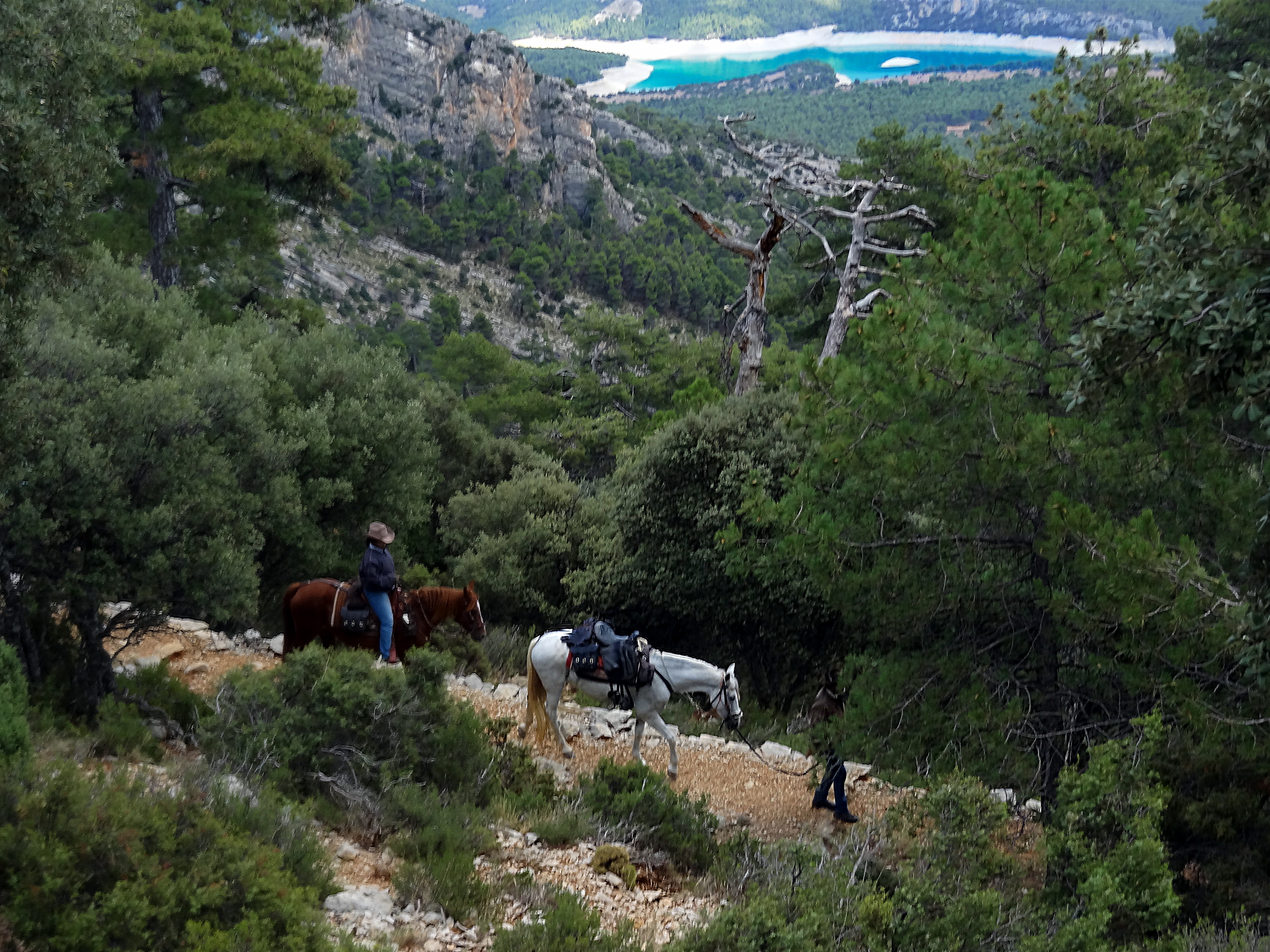 Image Andalousie: Sierra de Andujar & Sierra Morena à cheval