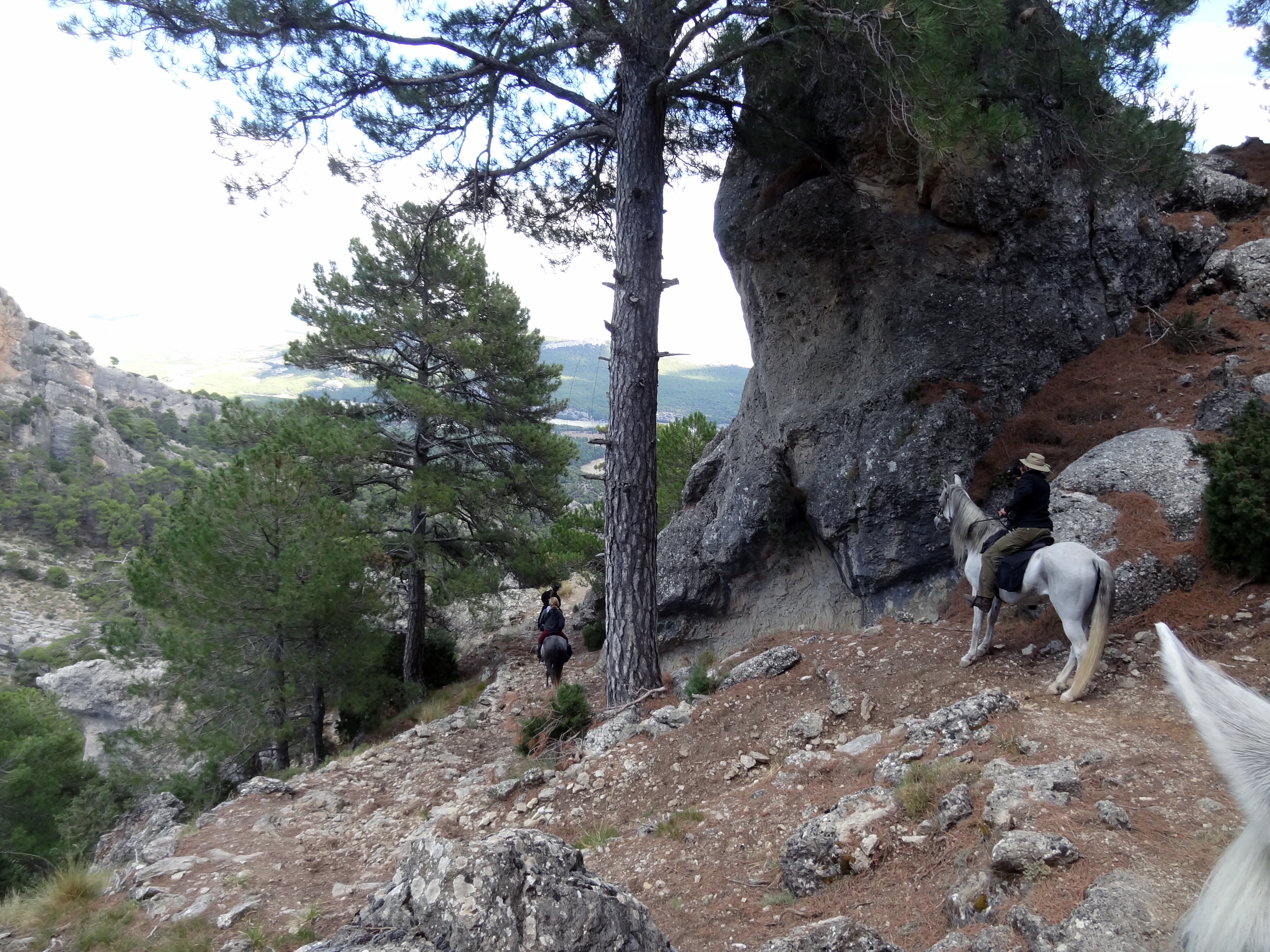 Image Andalousie: Sierra de Andujar & Sierra Morena à cheval