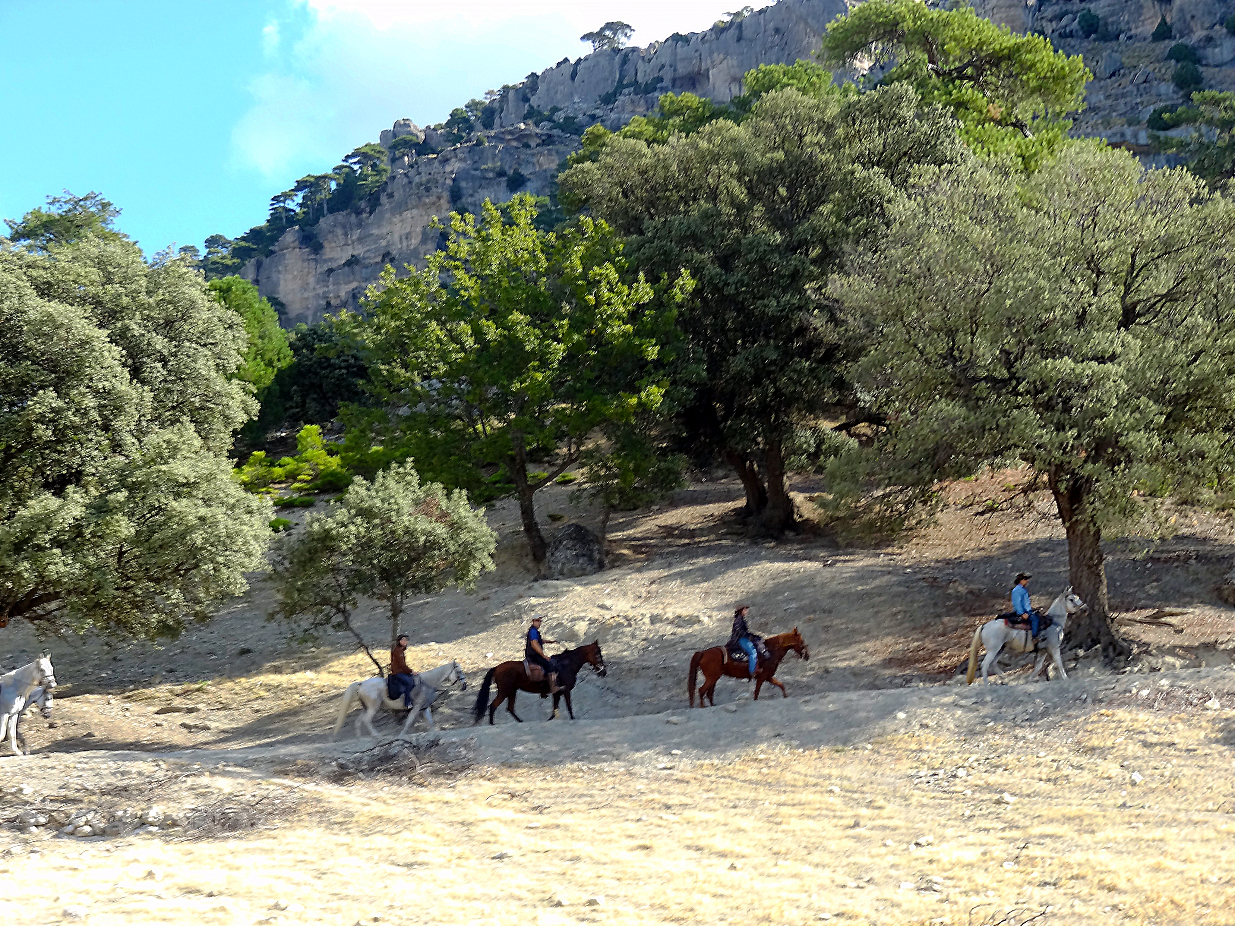 Image Andalousie: Sierra de Andujar & Sierra Morena à cheval
