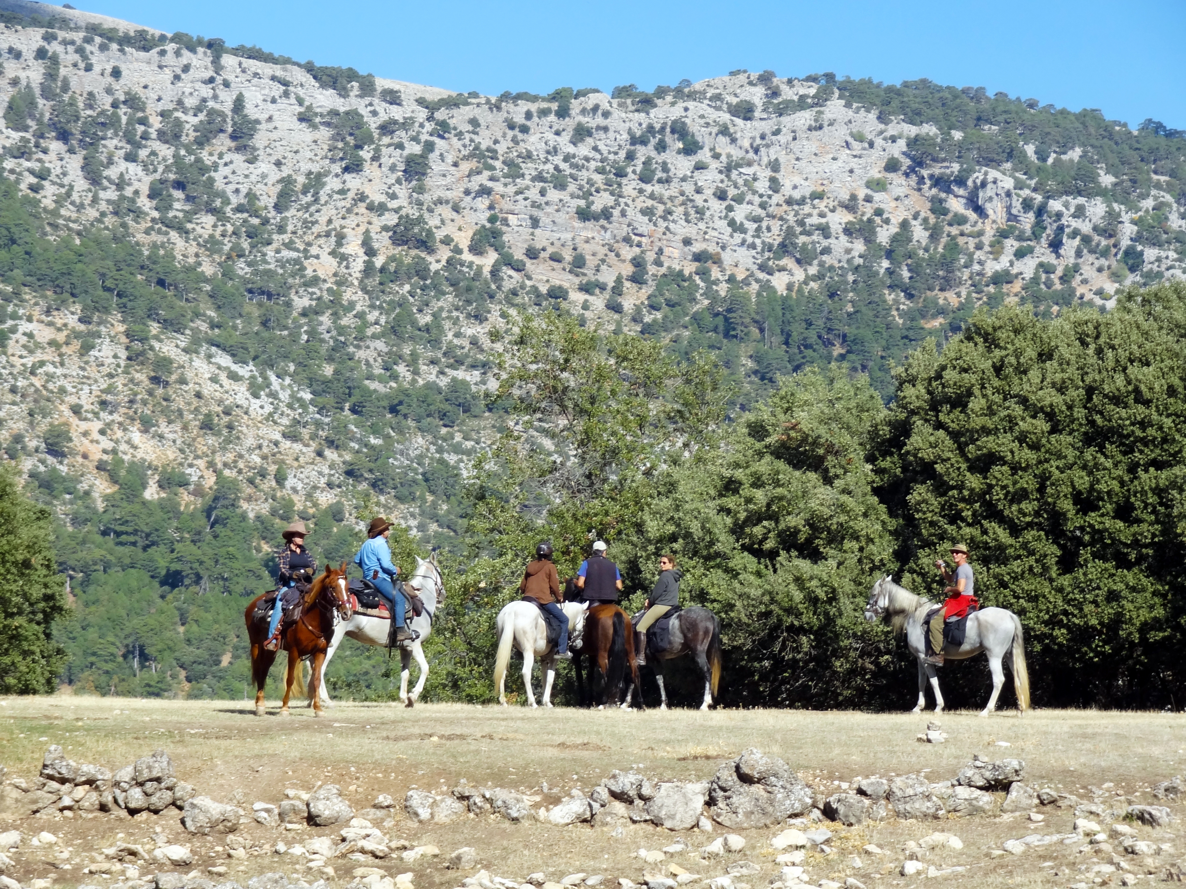 Image Andalousie: Sierra de Andujar & Sierra Morena à cheval