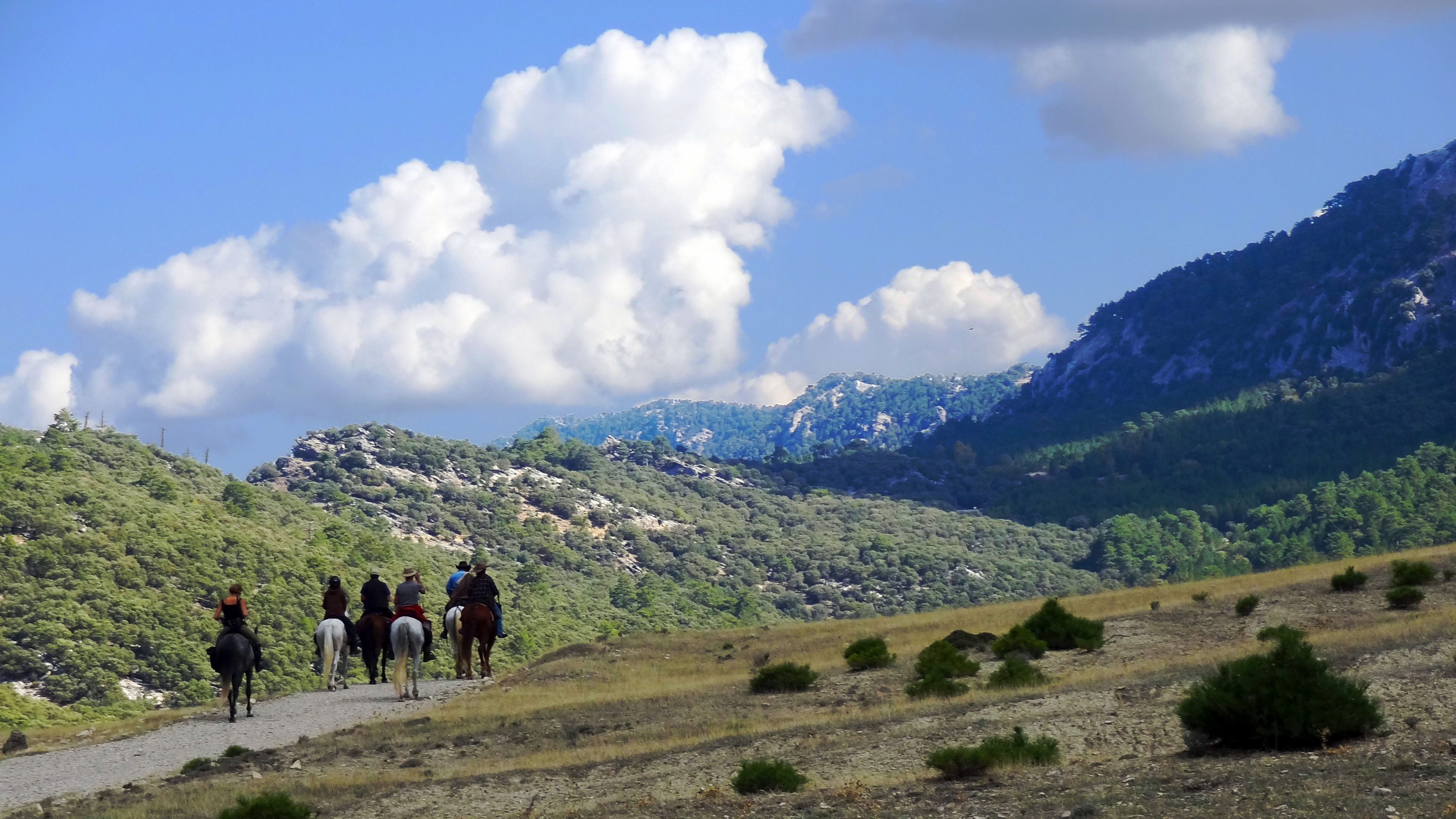 Image Andalousie: Sierra de Andujar & Sierra Morena à cheval