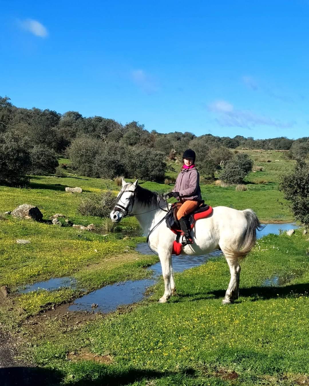 Image Espagne: Randonnée à cheval en étoile en Extremadure