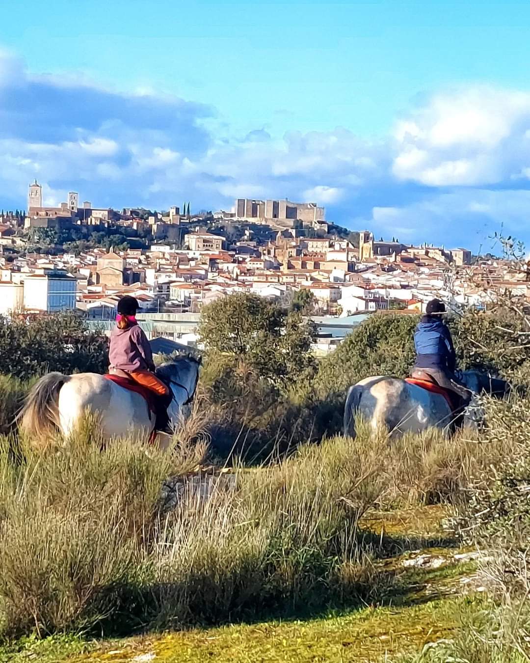 Image Espagne: Randonnée à cheval en étoile en Extremadure