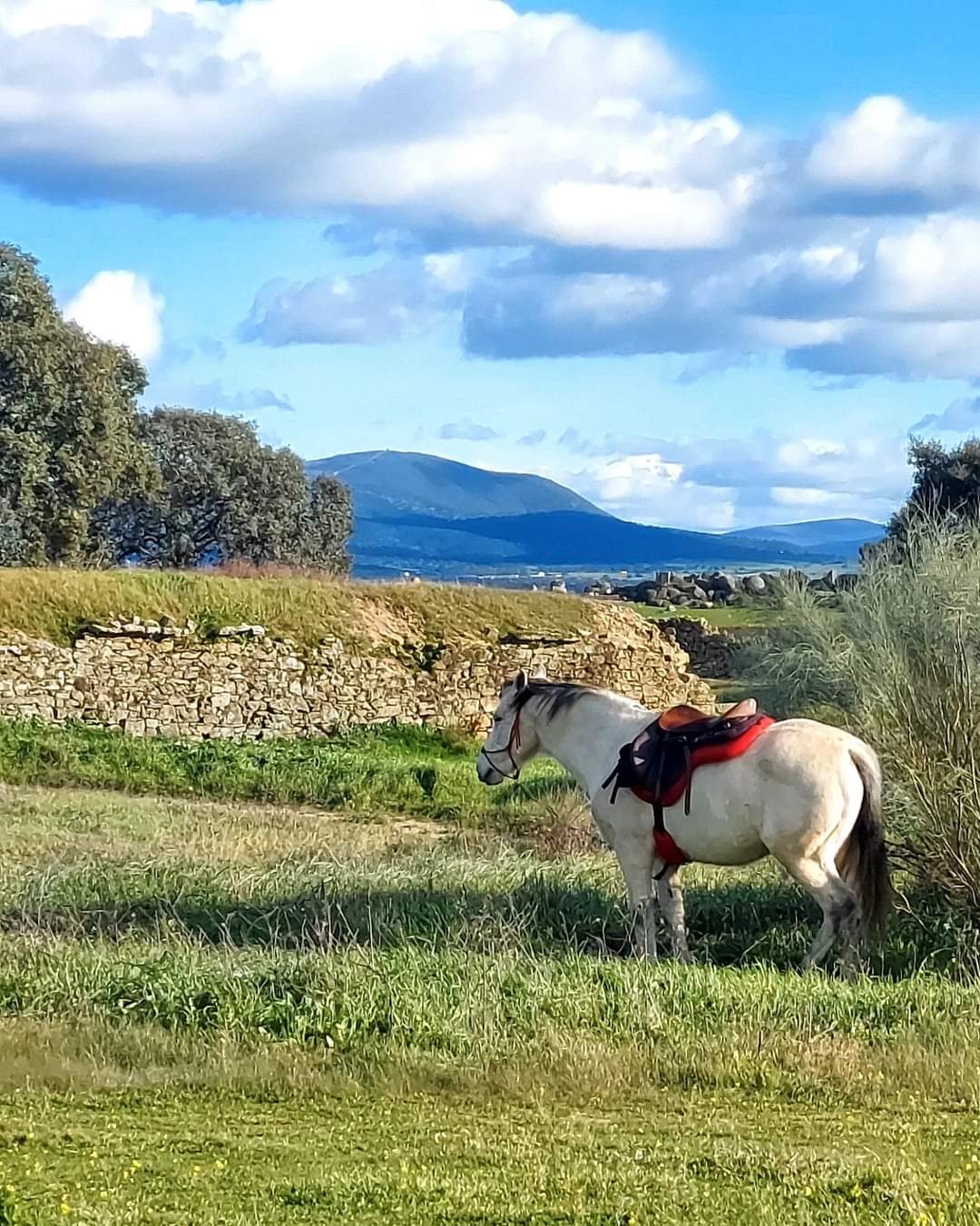 Image Espagne: Randonnée à cheval en étoile en Extremadure