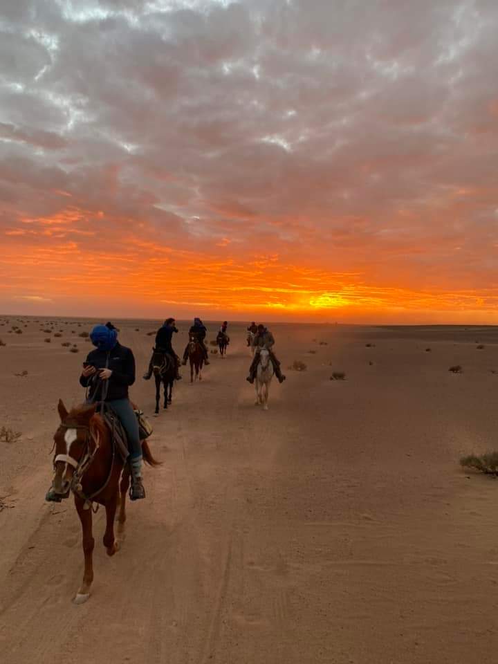 Image Les Oasis Sacrées