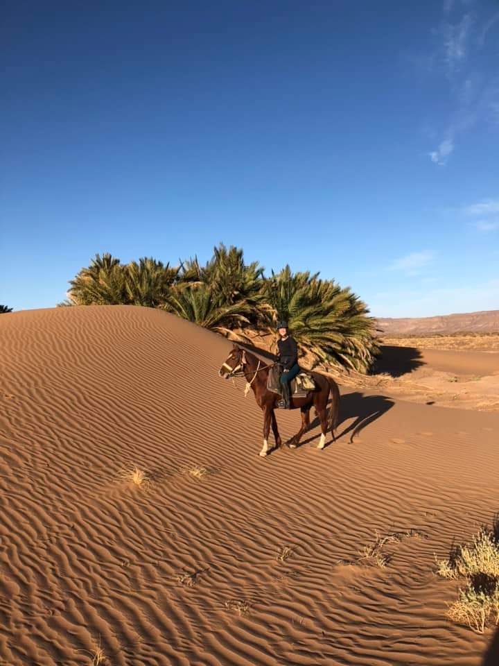 Image Les Oasis Sacrées