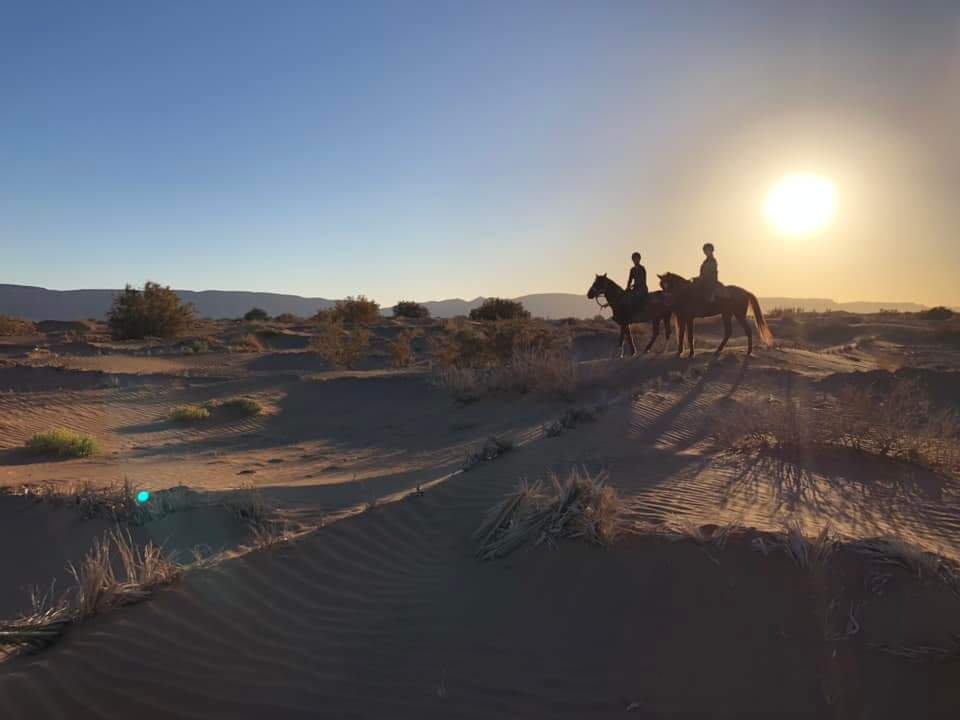 Image Les Oasis Sacrées